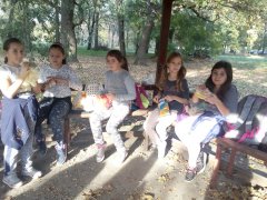 IMG_20171018_155544.jpg